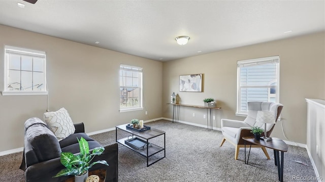 8308 Needle Drop Ct, Colorado Springs, CO 80908 - carpeted living area with baseboards