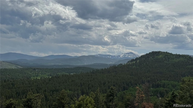 200 Coughlin Meadows Rd, Boulder, CO 80302 - photo 8