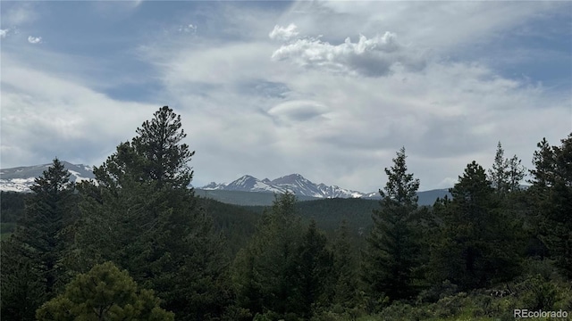 200 Coughlin Meadows Rd, Boulder, CO 80302 - photo 10