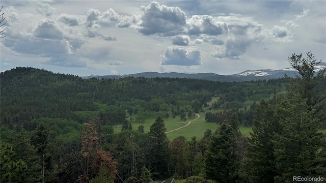 200 Coughlin Meadows Rd, Boulder, CO 80302 - photo 12