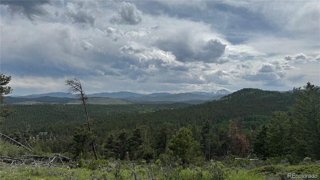 200 Coughlin Meadows Rd, Boulder, CO 80302 - photo 13