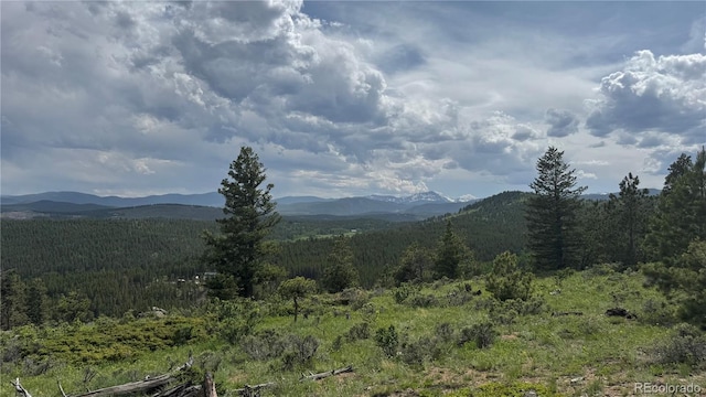 200 Coughlin Meadows Rd, Boulder, CO 80302 - photo 14