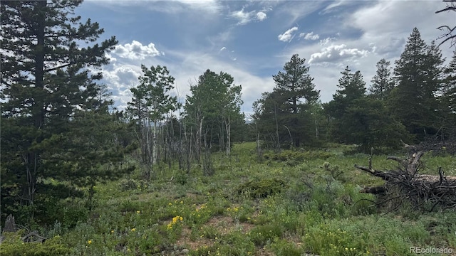 200 Coughlin Meadows Rd, Boulder, CO 80302 - photo 16