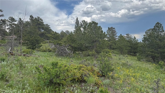 200 Coughlin Meadows Rd, Boulder, CO 80302 - photo 17