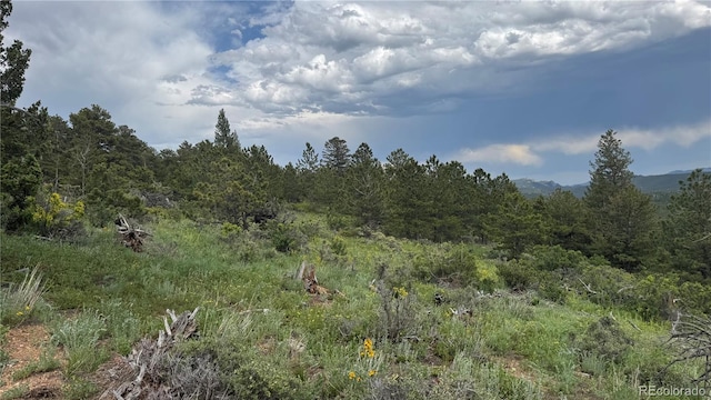 200 Coughlin Meadows Rd, Boulder, CO 80302 - photo 19