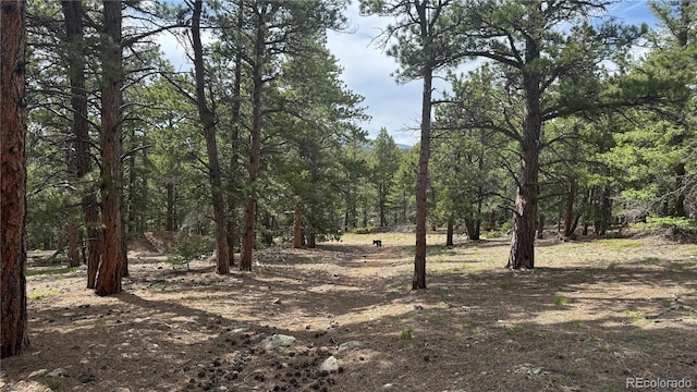 200 Coughlin Meadows Rd, Boulder, CO 80302 - photo 20