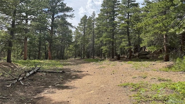 200 Coughlin Meadows Rd, Boulder, CO 80302 - photo 21