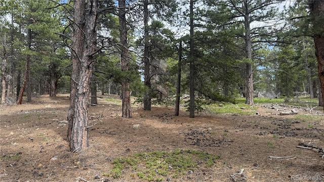 200 Coughlin Meadows Rd, Boulder, CO 80302 - photo 22