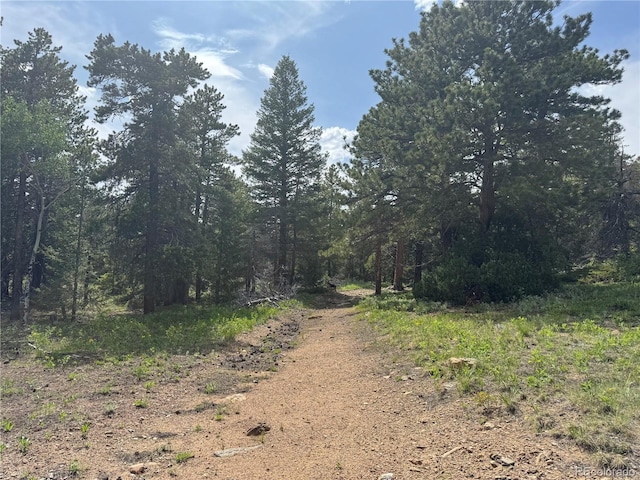 200 Coughlin Meadows Rd, Boulder, CO 80302 - photo 27