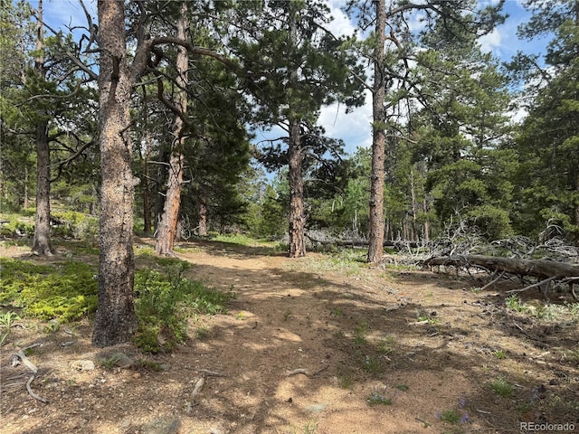 200 Coughlin Meadows Rd, Boulder, CO 80302 - photo 28