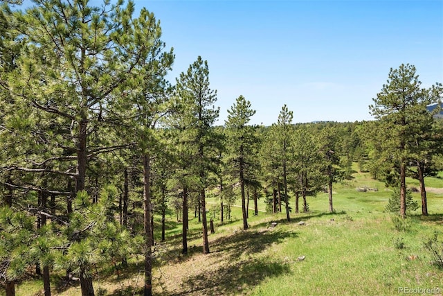 2122 Cramner Ct, Evergreen, CO 80439 - view of tree filled area