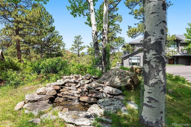 2122 Cramner Ct, Evergreen, CO 80439 - view of yard