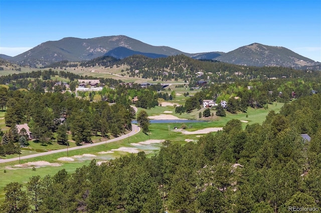2122 Cramner Ct, Evergreen, CO 80439 - mountain view