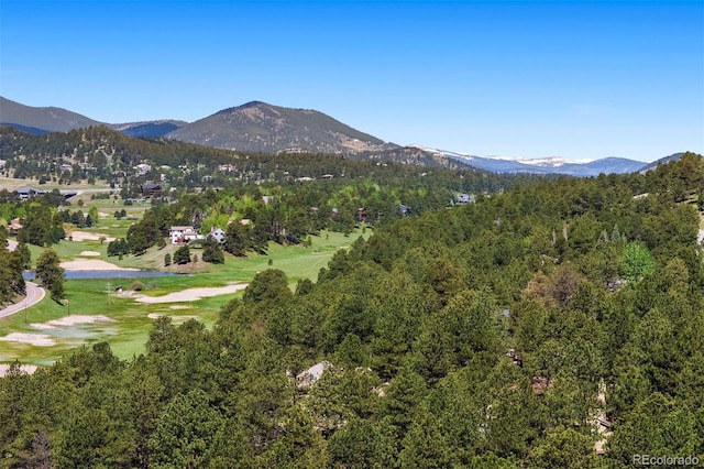 2122 Cramner Ct, Evergreen, CO 80439 - mountain view with a heavily wooded area