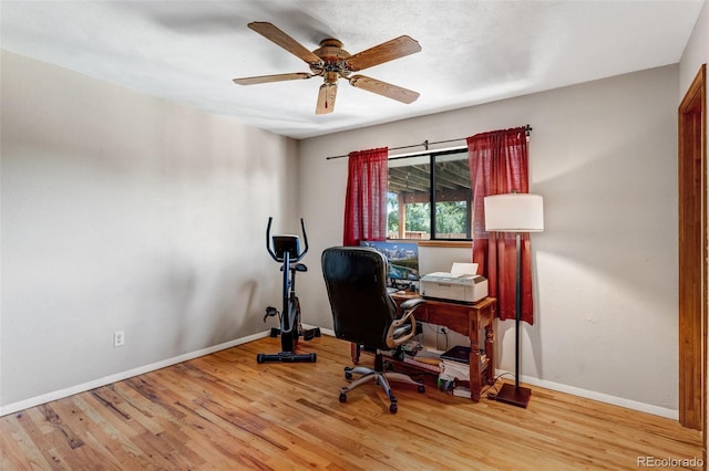 9040 Raleigh St, Westminster, CO 80031 - office space with wood finished floors and a ceiling fan