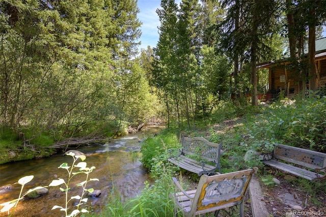 115 Lions Gate Dr, Winter Park, CO 80482 - exterior space