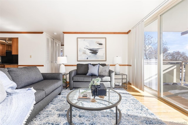 living room featuring light hardwood / wood-style floors and crown molding