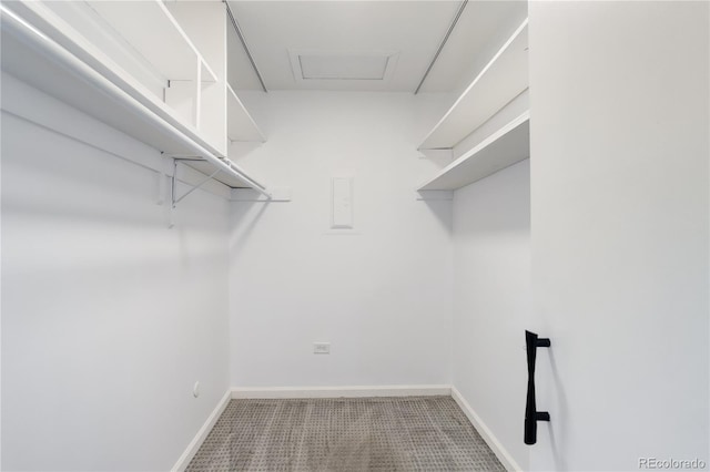walk in closet with carpet floors