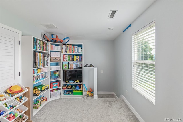 366 Shenandoah Way, Brighton, CO 80603 - photo 27