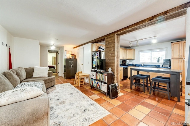 living area featuring light tile patterned floors and rail lighting