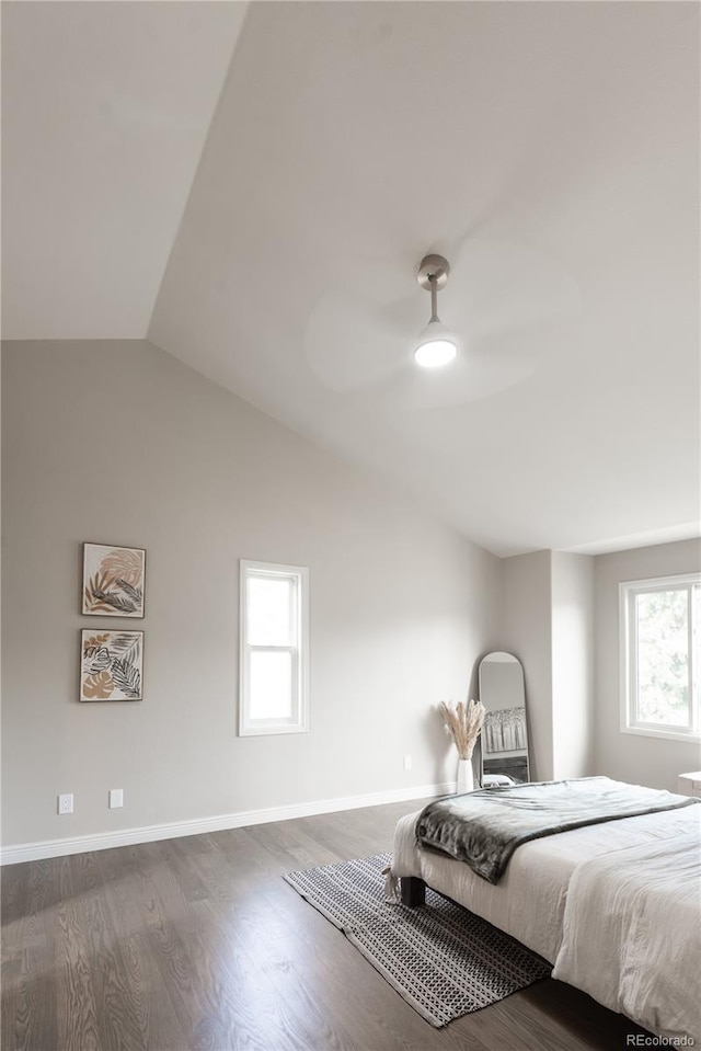 1772 Eisenhower, Louisville, CO 80027 - bedroom featuring multiple windows, wood finished floors, lofted ceiling, a ceiling fan, and baseboards