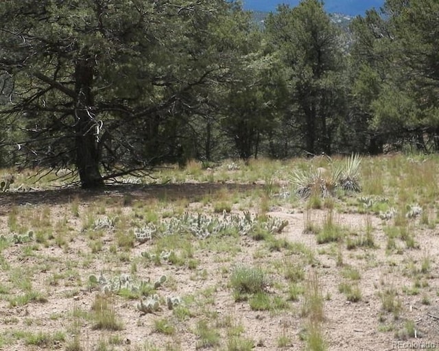 24850 Road V.5, Dolores CO, 81323 land for sale