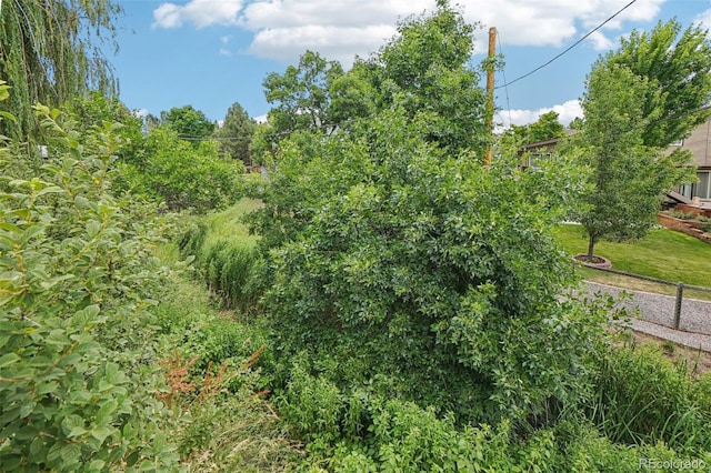 7667 W Brook Dr, Littleton, CO 80128 - view of undeveloped land