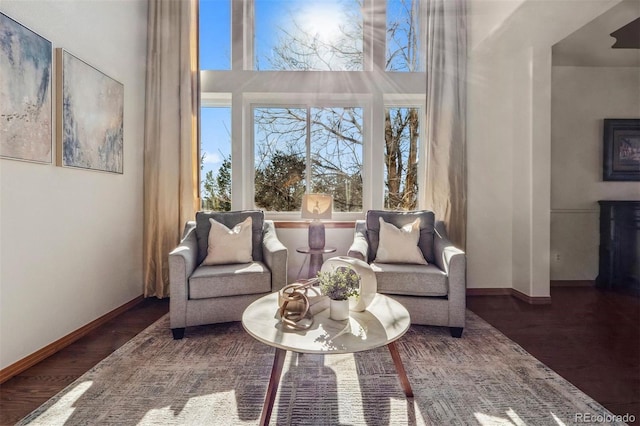 sitting room with a high ceiling, baseboards, and wood finished floors