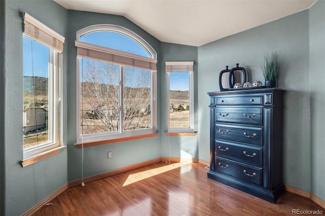 interior space with vaulted ceiling, baseboards, and wood finished floors