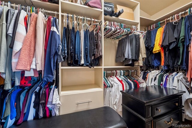 view of spacious closet