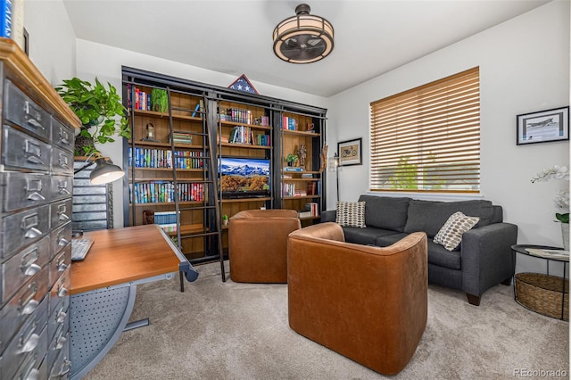 sitting room featuring carpet floors