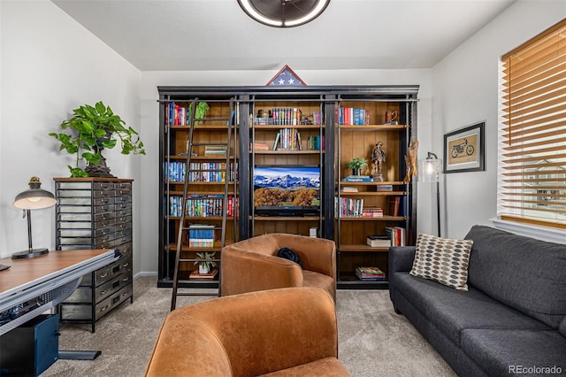 living area with carpet floors