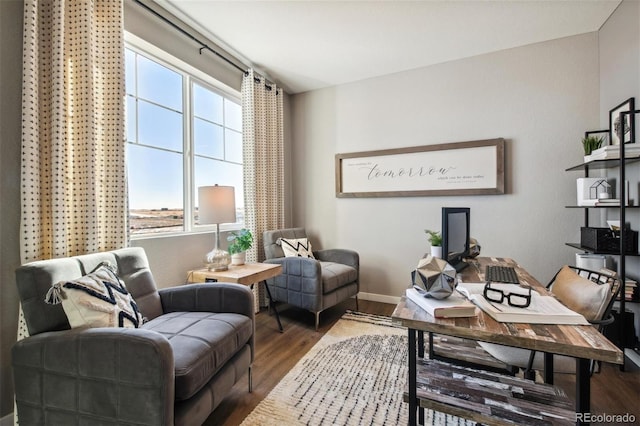 home office featuring hardwood / wood-style flooring