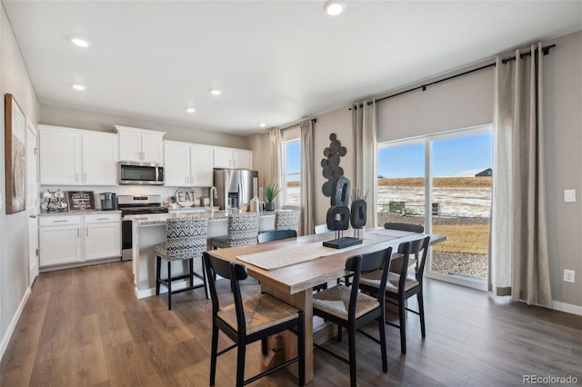 dining area featuring dark hardwood / wood-style flooring and sink