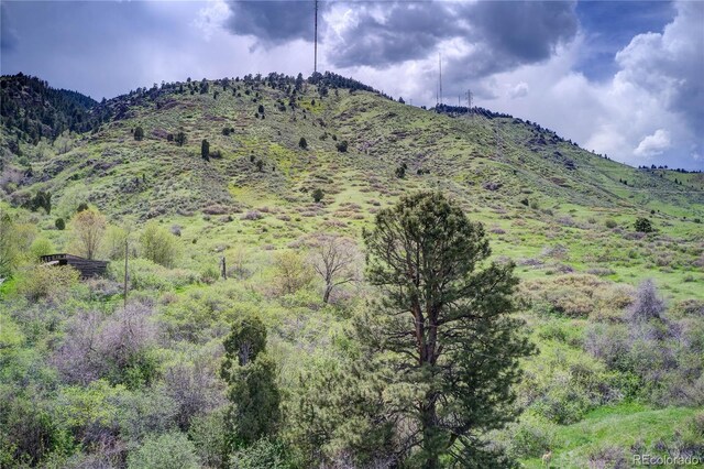 848 Shelton Rd, Golden, CO 80401 - photo 11