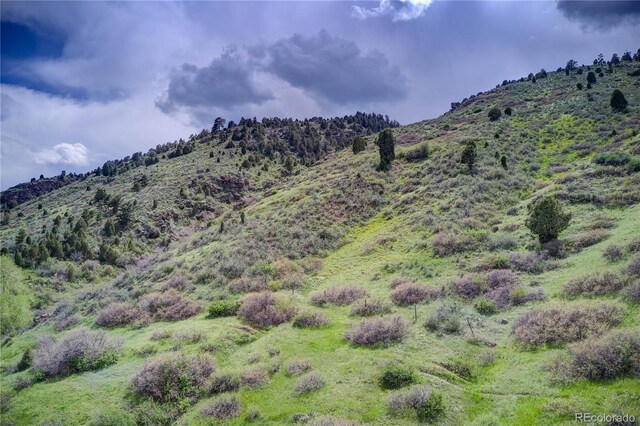 848 Shelton Rd, Golden, CO 80401 - photo 17