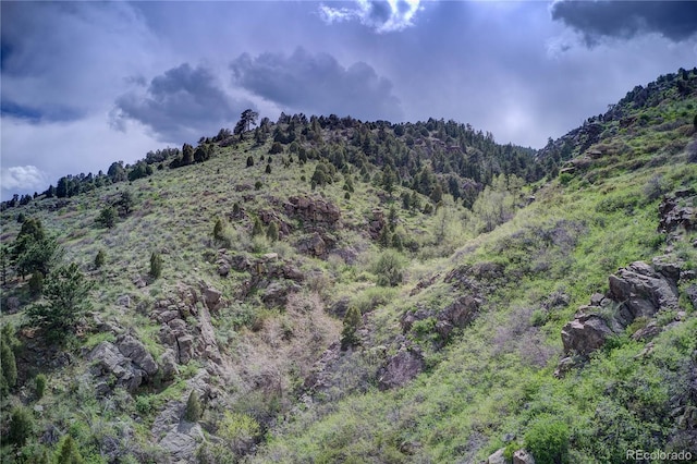 848 Shelton Rd, Golden, CO 80401 - photo 18