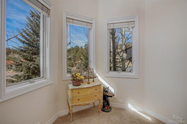 725 Sun Valley Dr, Woodland Park, CO 80863 - detailed view of carpet and baseboards