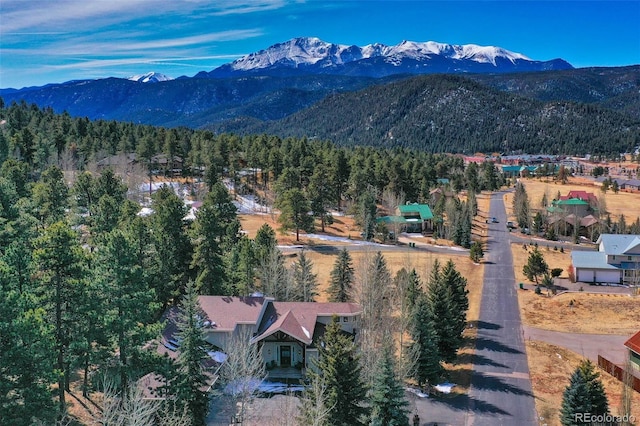 725 Sun Valley Dr, Woodland Park, CO 80863 - mountain view featuring a forest