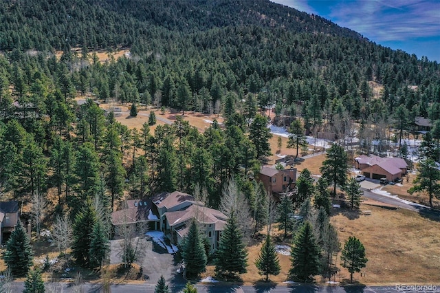 725 Sun Valley Dr, Woodland Park, CO 80863 - aerial overview of property's location with a heavily wooded area and a mountainous background