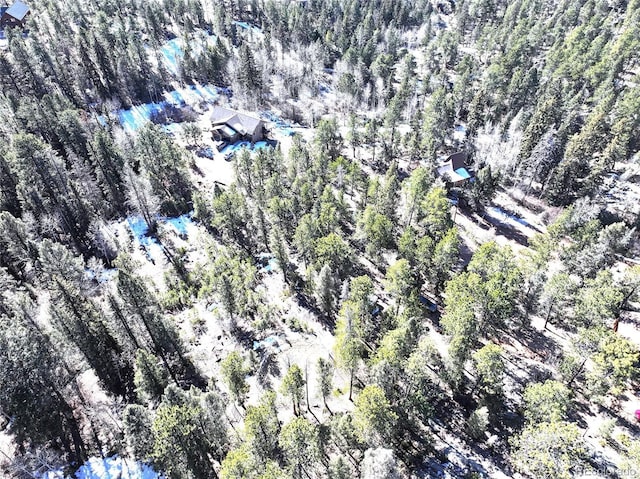 30929 Bear Cub Trl, Conifer CO, 80433 land for sale