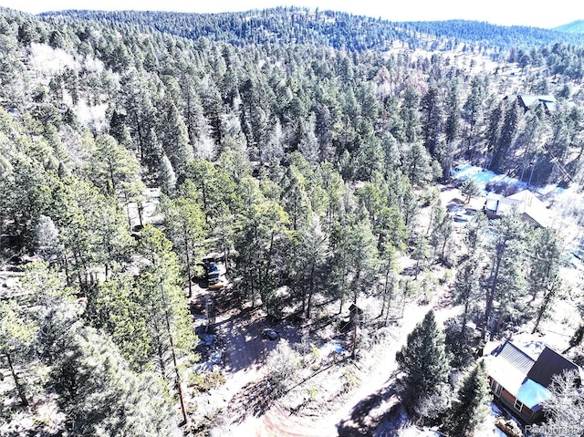 Listing photo 3 for 30929 Bear Cub Trl, Conifer CO 80433