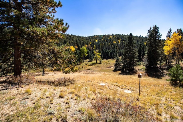 view of woods