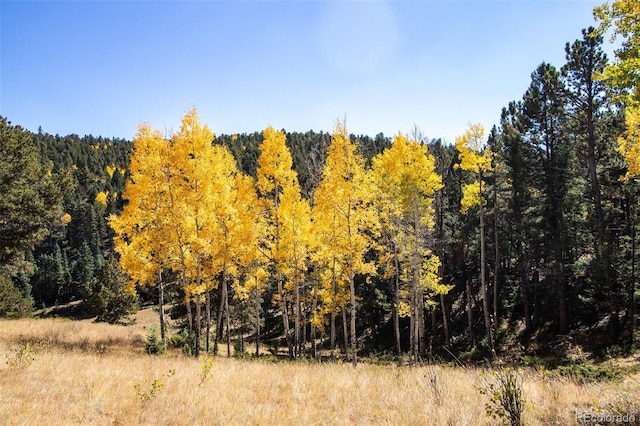 view of wooded area