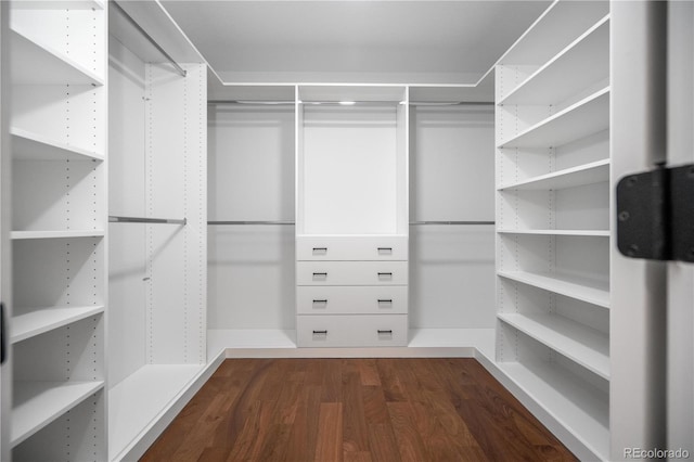 404 S Oneida Way, Denver, CO 80224 - walk in closet with dark wood-type flooring