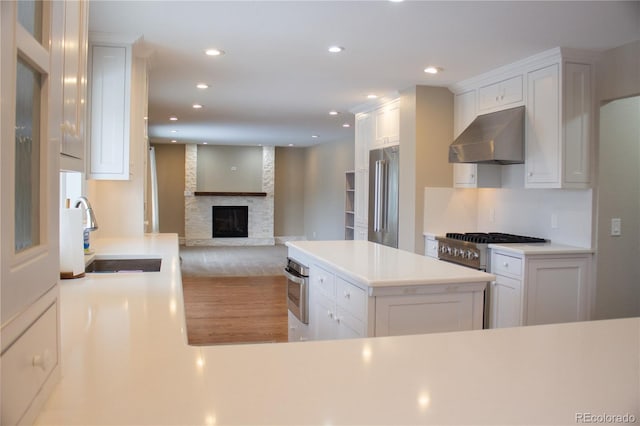 kitchen with sink, extractor fan, a large fireplace, stainless steel appliances, and white cabinets