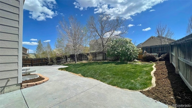 view of yard featuring a fenced backyard and a patio area