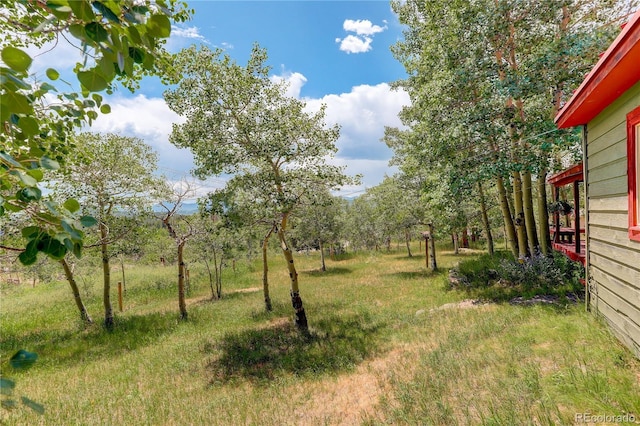 60 Lake Front Dr, Black Hawk, CO 80422 - photo 36