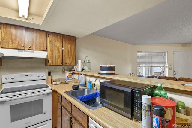 kitchen featuring white electric stove, brown cabinets, light countertops, under cabinet range hood, and a sink