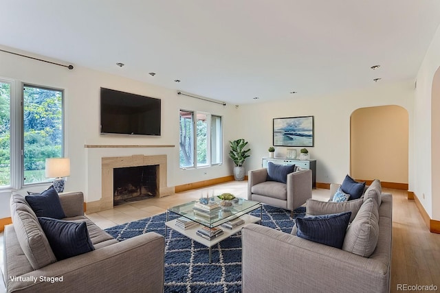 living room featuring light hardwood / wood-style floors, a wealth of natural light, and a fireplace